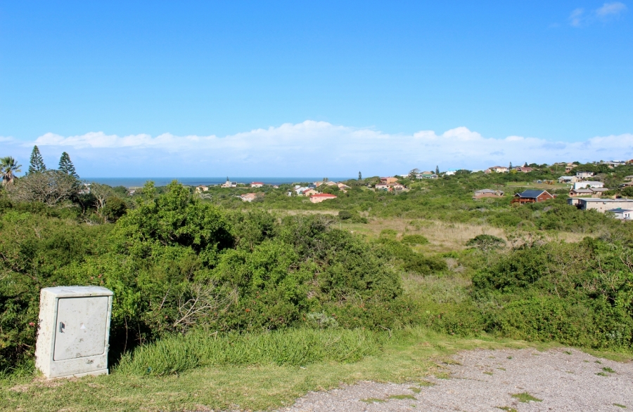 0 Bedroom Property for Sale in Forest Downs Eastern Cape
